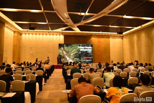 以見聞覓商機 2023“白鴿行動”華北站完美收官，廣告設計賦能品牌新視野